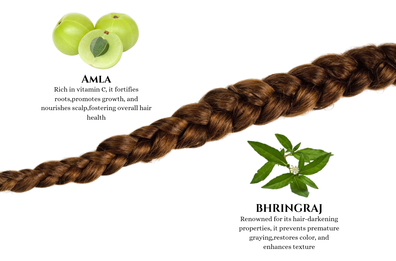 Amla and Bhringraj Shampoo